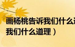 画杨桃告诉我们什么道理一句话（画杨桃告诉我们什么道理）