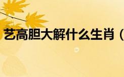 艺高胆大解什么生肖（艺高胆大是什么生肖）