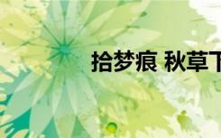 拾梦痕 秋草下载（拾梦痕）