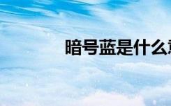 暗号蓝是什么意思（暗号蓝）