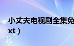 小丈夫电视剧全集免费观看完整版（小丈夫txt）