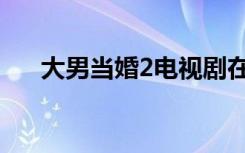 大男当婚2电视剧在线看（大男当婚2）