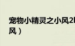 宠物小精灵之小风2k小说（宠物小精灵之小风）