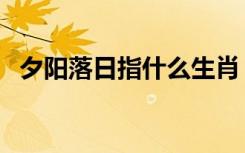 夕阳落日指什么生肖（夕阳落日打一生肖）