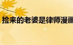 捡来的老婆是律师漫画（捡来的老婆是律师）