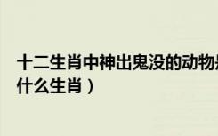 十二生肖中神出鬼没的动物是什么生肖（神出鬼没的动物是什么生肖）