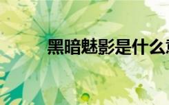 黑暗魅影是什么意思（黑暗魅影）