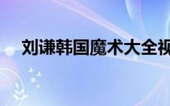 刘谦韩国魔术大全视频（刘谦韩国魔术）