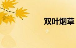 双叶烟草（双叶烟）