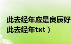 此去经年应是良辰好景虚设便纵有千种风情（此去经年txt）