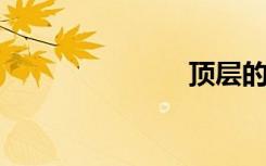 顶层的大象图