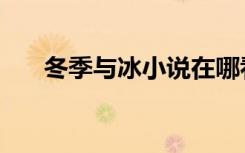 冬季与冰小说在哪看（冬季与冰小说）