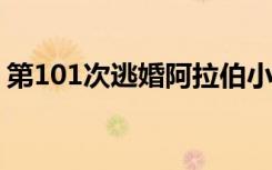 第101次逃婚阿拉伯小说（第101次逃婚txt）