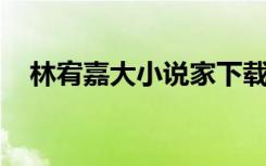 林宥嘉大小说家下载（林宥嘉 大小说家）