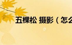 五棵松 摄影（怎么去五棵松摄影城）