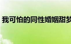 我可怕的同性婚姻甜梦（我可怕的同性婚姻）