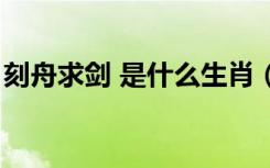 刻舟求剑 是什么生肖（刻舟求剑是什么生肖）