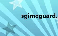 sgimeguard.exe访问被拒绝