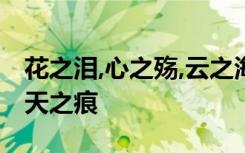花之泪,心之殇,云之海,泪之曲,冬之韵,花之舞,天之痕
