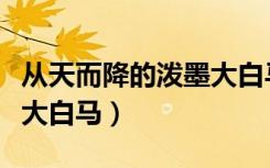 从天而降的泼墨大白马百科（从天而降的泼墨大白马）