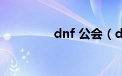 dnf 公会（dnf公会基金）