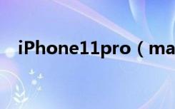 iPhone11pro（max怎么拍摄动态照片）