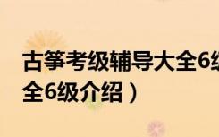 古筝考级辅导大全6级（关于古筝考级辅导大全6级介绍）