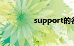 support的名词（supp）