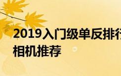 2019入门级单反排行榜适合入门的五款单反相机推荐