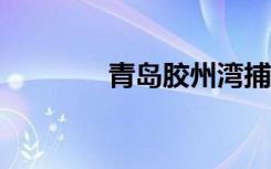 青岛胶州湾捕杀海星45万斤