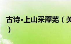 古诗·上山采蘼芜（关于古诗·上山采蘼芜介绍）