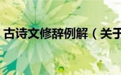 古诗文修辞例解（关于古诗文修辞例解介绍）
