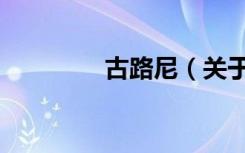 古路尼（关于古路尼介绍）