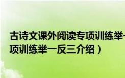 古诗文课外阅读专项训练举一反三（关于古诗文课外阅读专项训练举一反三介绍）