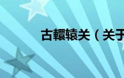 古轘辕关（关于古轘辕关介绍）