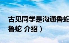 古见同学是沟通鲁蛇 （关于古见同学是沟通鲁蛇 介绍）