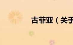 古菲亚（关于古菲亚介绍）