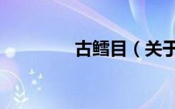 古鳕目（关于古鳕目介绍）