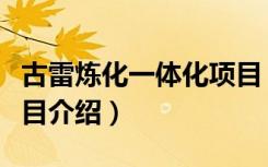 古雷炼化一体化项目（关于古雷炼化一体化项目介绍）