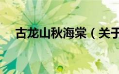 古龙山秋海棠（关于古龙山秋海棠介绍）