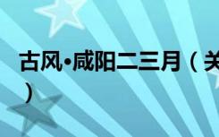 古风·咸阳二三月（关于古风·咸阳二三月介绍）