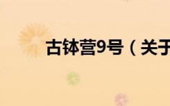 古钵营9号（关于古钵营9号介绍）
