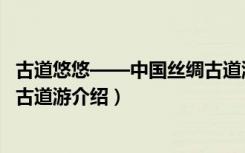 古道悠悠——中国丝绸古道游（关于古道悠悠——中国丝绸古道游介绍）