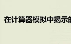 在计算器模拟中揭示的黑洞内部发生了什么