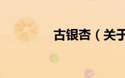 古银杏（关于古银杏介绍）