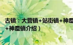 古镇：大营镇+站街镇+神垕镇（关于古镇：大营镇+站街镇+神垕镇介绍）