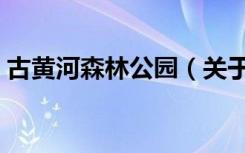 古黄河森林公园（关于古黄河森林公园介绍）