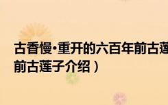 古香慢·重开的六百年前古莲子（关于古香慢·重开的六百年前古莲子介绍）