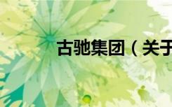 古驰集团（关于古驰集团介绍）