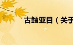 古鳕亚目（关于古鳕亚目介绍）